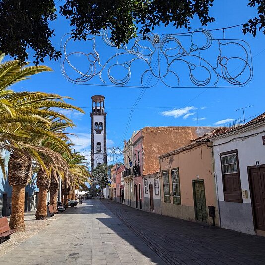 PXL_20241113_132143718