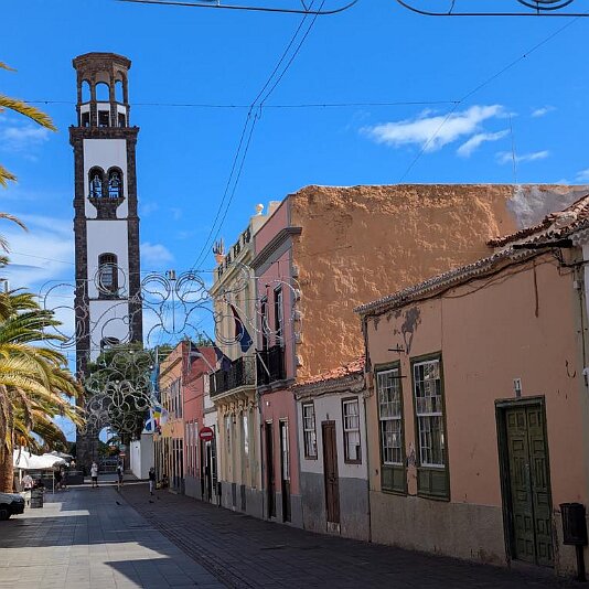 PXL_20241113_132151042