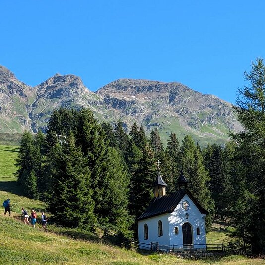 PXL_20240810_072909916