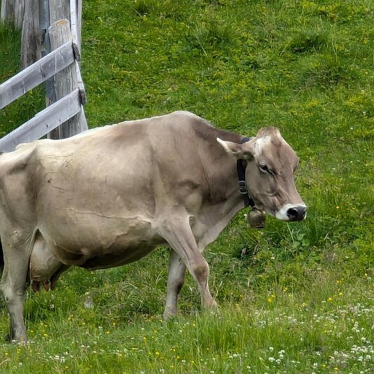 PXL_20240808_130046752