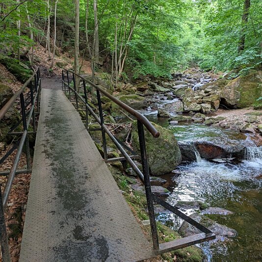 K1600_PXL_20250531_082053908