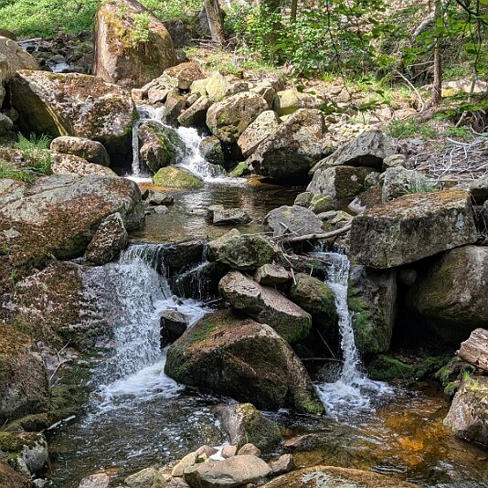 K1600_PXL_20250531_090523009