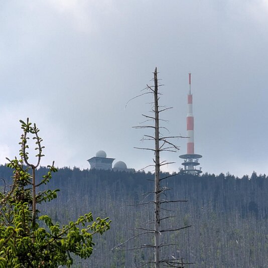 K1600_PXL_20250531_094912582