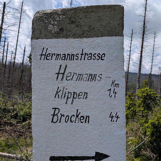 K1600_PXL_20250531_095448605