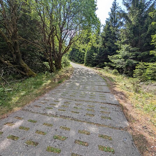 K1600_PXL_20250531_102051584