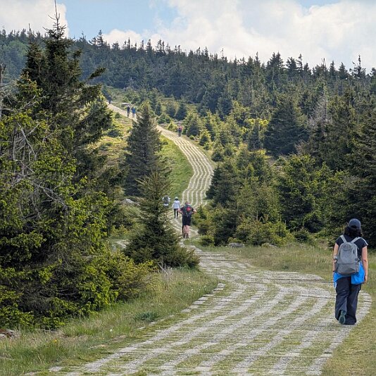 K1600_PXL_20250531_110408831