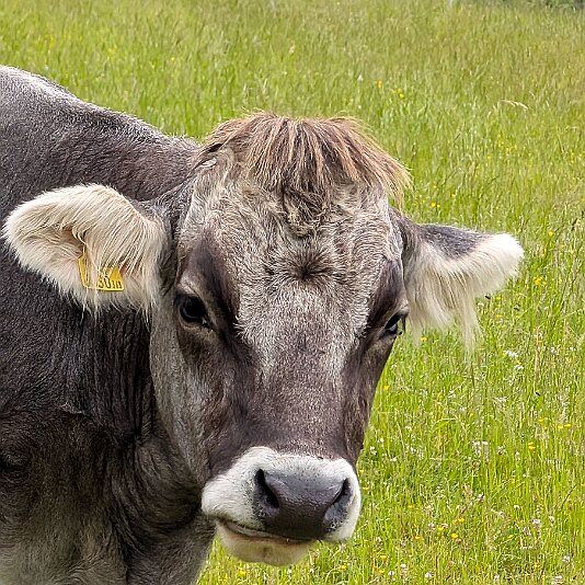 PXL_20250628_080714404