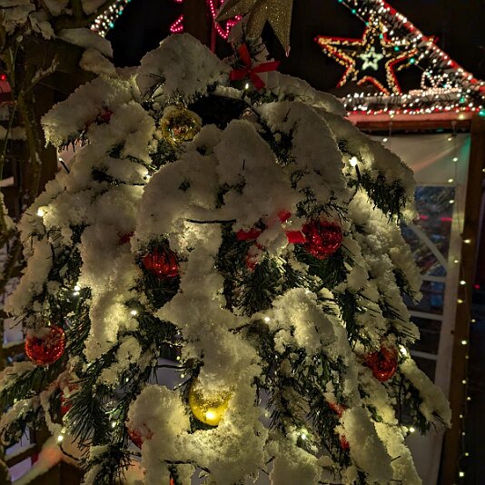 PXL_20260103_171023679