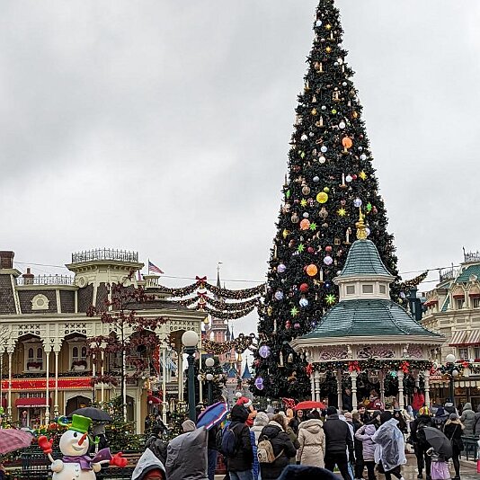 PXL_20231205_092247712