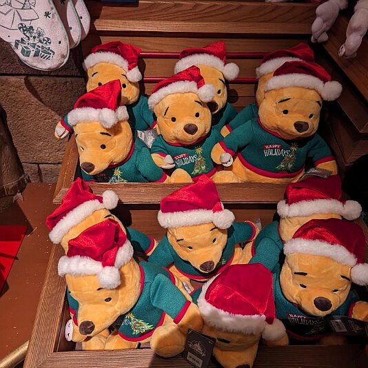 PXL_20231205_100808671