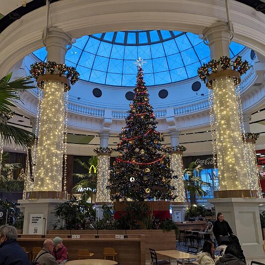 PXL_20231120_153733604