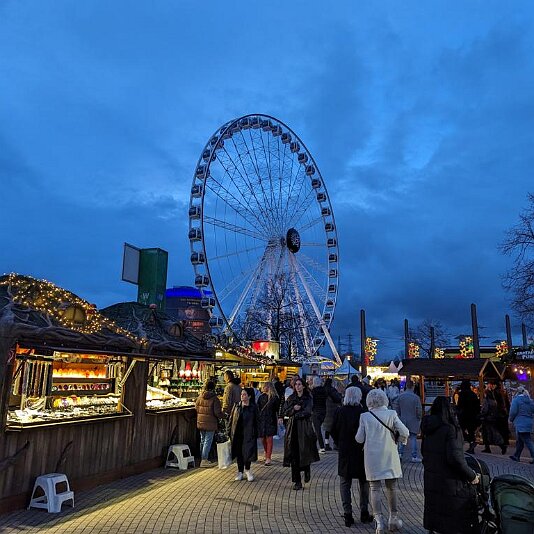 PXL_20231120_155920599