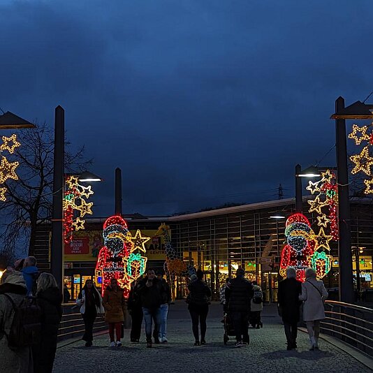 PXL_20231120_160029859