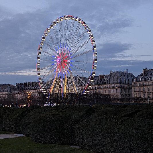 PXL_20231203_160314677