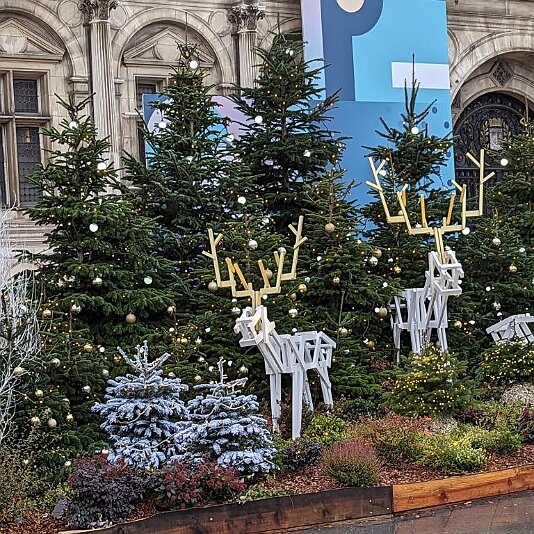 PXL_20231204_100212319