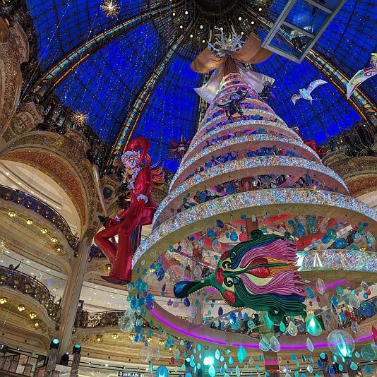 PXL_20231204_155834969