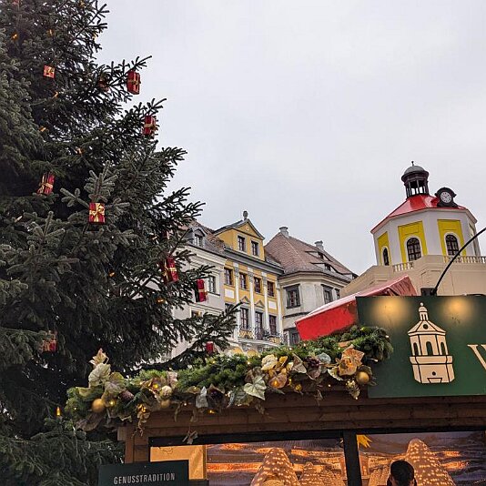 PXL_20241214_114529695