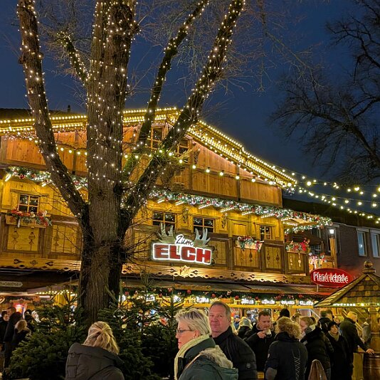 PXL_20241228_160224619