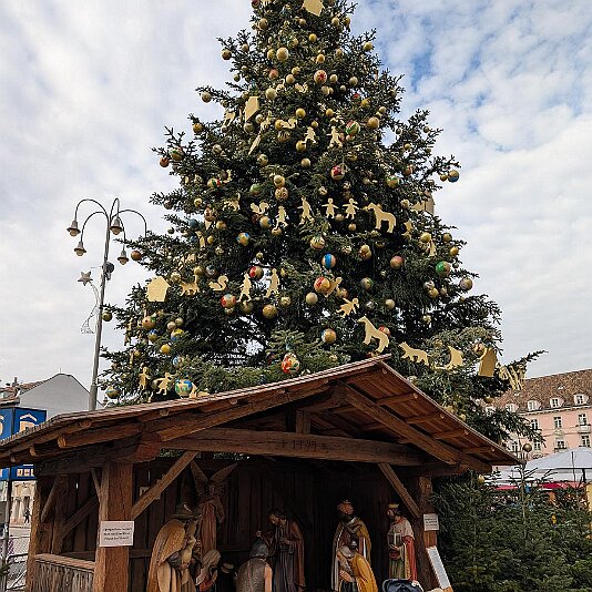 PXL_20251211_121219355