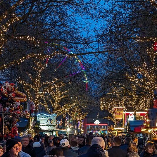 PXL_20251221_152752326