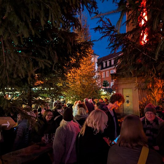 K1600_PXL_20251129_160336489