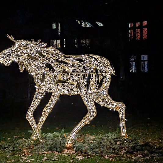 PXL_20251128_170630418