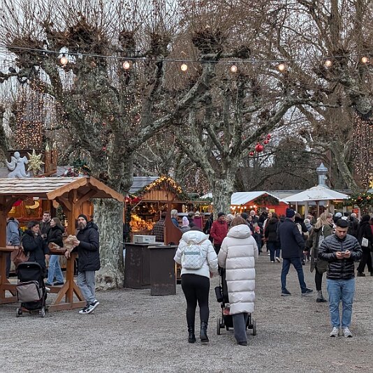 PXL_20251209_150951338