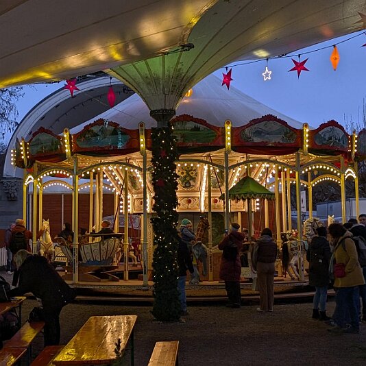 PXL_20251209_154431565