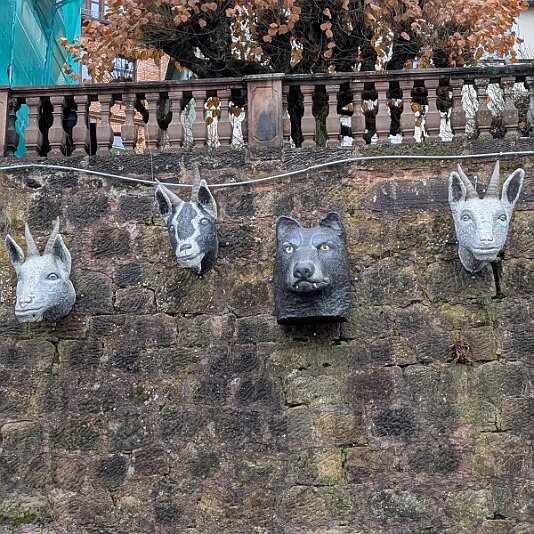 PXL_20251129_105654233