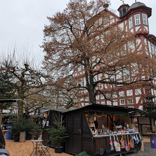 PXL_20251128_121911648