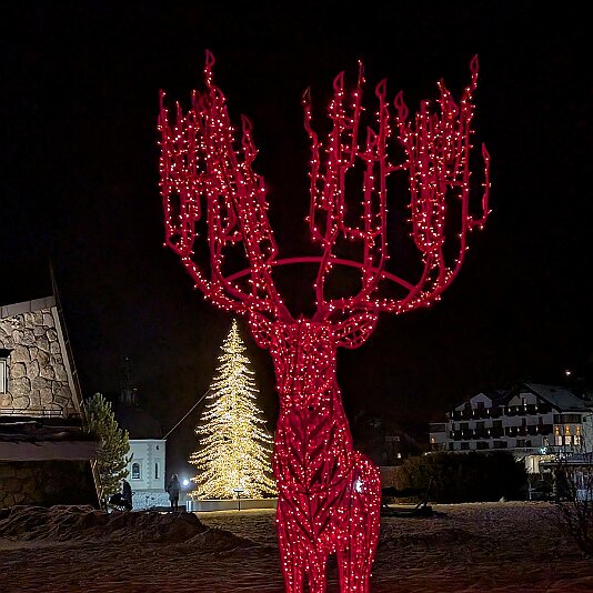 PXL_20251214_164422443