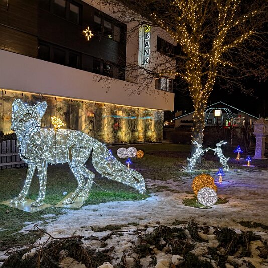 PXL_20251214_170322791