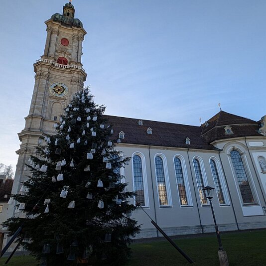 PXL_20251209_103858556