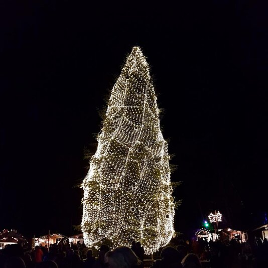 20161209_174057