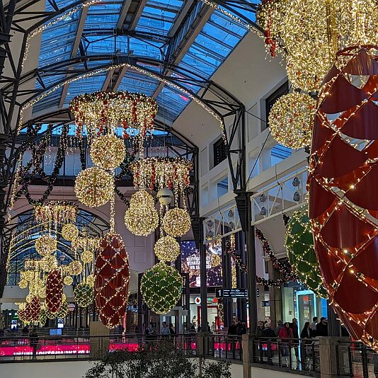 PXL_20231120_152755631