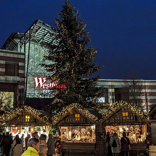 PXL_20231120_161655927