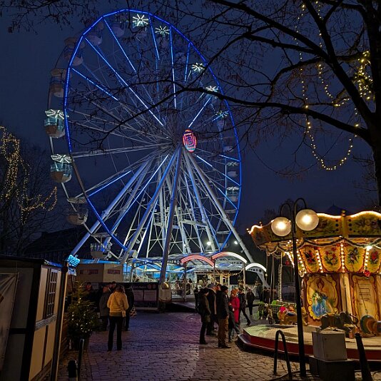 PXL_20241228_155355523