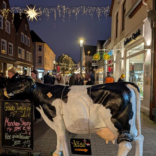 PXL_20241228_155719477.MP