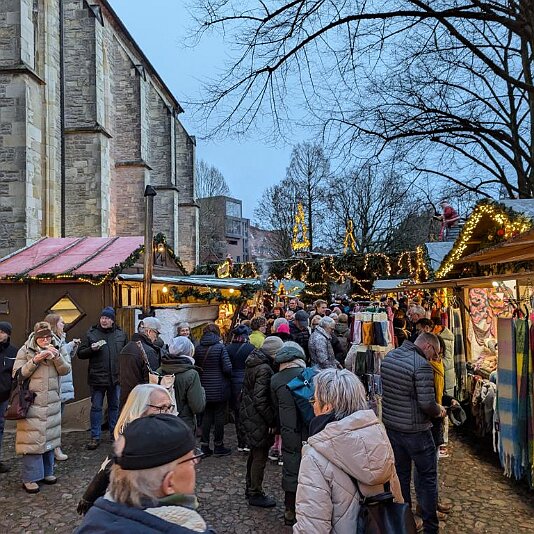 PXL_20241211_150058561