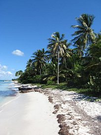 Strand - Insel Saona 9