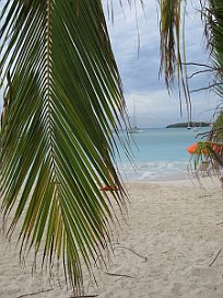 Strandimpressionen St. Maarten (1)