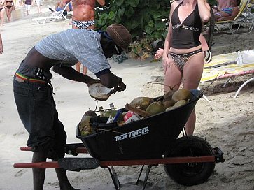 Kokosnuss-VerkÃ¤ufer (Cane Garden Beach)