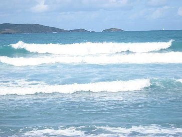 SchÃ¶ne Brandung (Tortula)