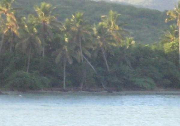 Landschaft vom Schiff aus