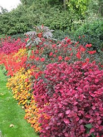 Familienausflug London 2009 (37)