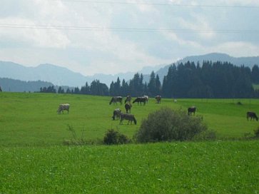 SchÃ¶nes AllgÃ¤u 3