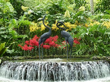 National Orchid Garden 1