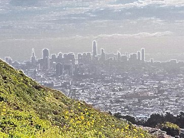 20180501_081649-neu2