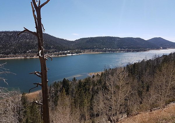 11. Dixie National Forest