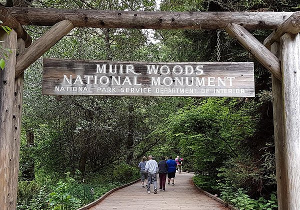20. Muir Woods